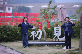 1706936297569387.png image.png