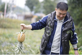 1706936414734993.png image.png