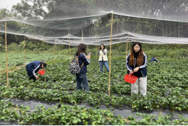 1706936423521509.png image.png