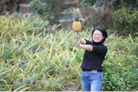 1706936430509212.png image.png