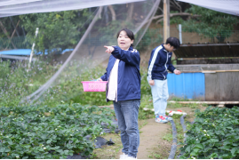 1706936448545844.png image.png